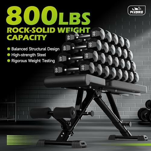 Adjustable weight bench with stacked dumbbells, highlighting 800 lbs capacity.